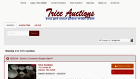 What Bidtrice.com website looked like in 2018 (5 years ago)