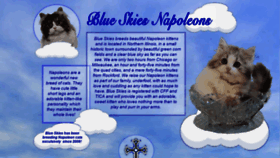 What Blueskycats.com website looked like in 2018 (5 years ago)