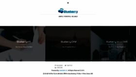 What Blueberry.software website looked like in 2018 (5 years ago)