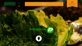 What Baygreensalad.com website looked like in 2018 (5 years ago)