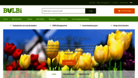 What Bulbi.nl website looked like in 2018 (6 years ago)