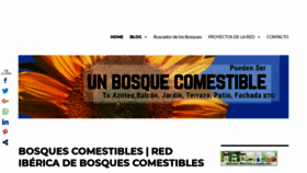 What Bosquescomestibles.es website looked like in 2018 (5 years ago)