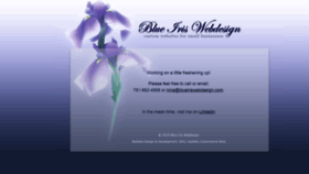 What Blueiriswebdesign.com website looked like in 2018 (5 years ago)