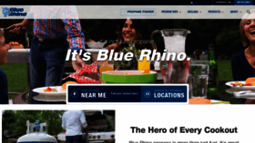What Bluerhino.com website looked like in 2018 (5 years ago)