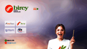 What Birey.com website looked like in 2018 (5 years ago)
