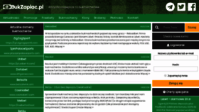 What Bukzaplac.pl website looked like in 2018 (5 years ago)