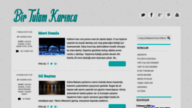 What Birtutamkarinca.com website looked like in 2018 (5 years ago)