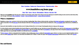 What Bumblebee.org website looked like in 2018 (5 years ago)