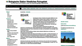 What Bswr.de website looked like in 2018 (5 years ago)