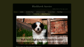 What Blackhawkaussies.com website looked like in 2018 (5 years ago)