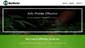 What Bioworkscannabis.com website looked like in 2019 (5 years ago)