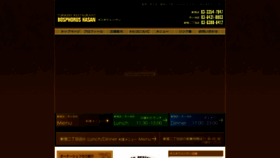 What Bosphorushasan.com website looked like in 2019 (7 years ago)