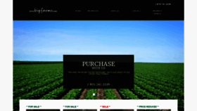 What Bigfarms.com website looked like in 2019 (5 years ago)