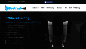What Blueangelhost.com website looked like in 2019 (5 years ago)