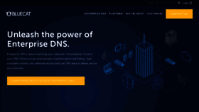 What Bluecatnetworks.com website looked like in 2019 (6 years ago)