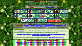 What Backyardnature.net website looked like in 2019 (5 years ago)