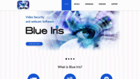 What Blueirissoftware.com website looked like in 2019 (5 years ago)