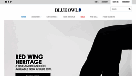 What Blueowl.us website looked like in 2019 (5 years ago)