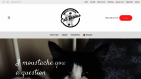 What Bristolandwalescatrescue.com website looked like in 2019 (5 years ago)