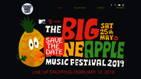 What Bigpineapplemusicfestival.com website looked like in 2019 (5 years ago)