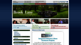 What Brooklane.org website looked like in 2019 (5 years ago)