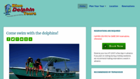 What Bluedolphintour.com website looked like in 2019 (5 years ago)