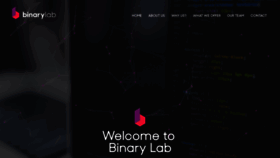 What Binarylab.io website looked like in 2019 (5 years ago)