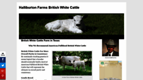 What Britishwhite.com website looked like in 2019 (5 years ago)