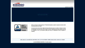What Bormindo.com website looked like in 2019 (5 years ago)