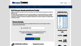 What Brasnic.com website looked like in 2019 (5 years ago)