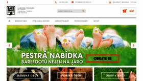 What Barefootbrno.cz website looked like in 2019 (5 years ago)
