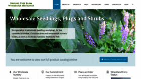What Brookstreefarm.com website looked like in 2019 (5 years ago)