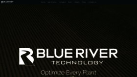 What Bluerivertechnology.com website looked like in 2019 (4 years ago)