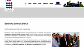 What Berrygroup.eu website looked like in 2019 (4 years ago)