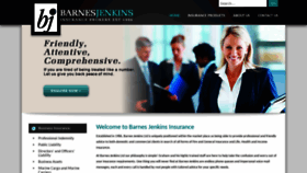 What Barnesjenkins.co.nz website looked like in 2019 (4 years ago)