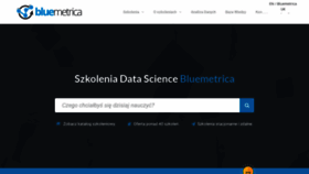 What Bluemetrica.com website looked like in 2019 (4 years ago)