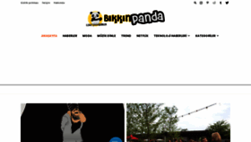 What Bikkinpanda.com website looked like in 2019 (4 years ago)