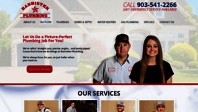 What Bannisterplumbing.com website looked like in 2019 (4 years ago)