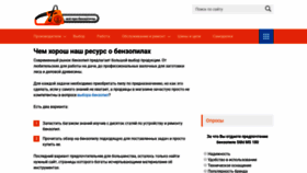What Benzopilok.ru website looked like in 2019 (4 years ago)