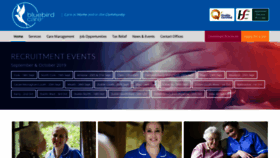 What Bluebirdcare.ie website looked like in 2019 (5 years ago)