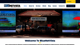 What Bluenetvista.com website looked like in 2019 (4 years ago)