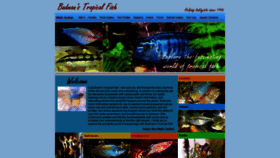 What Badmanstropicalfish.com website looked like in 2019 (4 years ago)