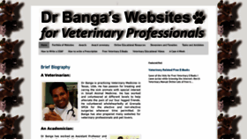 What Bangavet.com website looked like in 2019 (4 years ago)