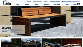 What Baileystreetscene.co.uk website looked like in 2019 (5 years ago)