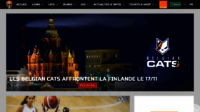 What Belgianlions.com website looked like in 2019 (6 years ago)