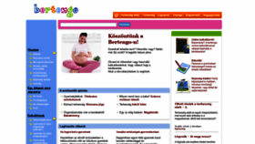 What Bertengo.com website looked like in 2019 (5 years ago)