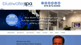What Bluewaterspa.com website looked like in 2019 (4 years ago)