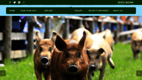 What Bockettsfarm.co.uk website looked like in 2019 (4 years ago)