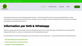 What Berlinsms.com website looked like in 2019 (4 years ago)