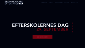 What Brejninggaard.dk website looked like in 2019 (4 years ago)